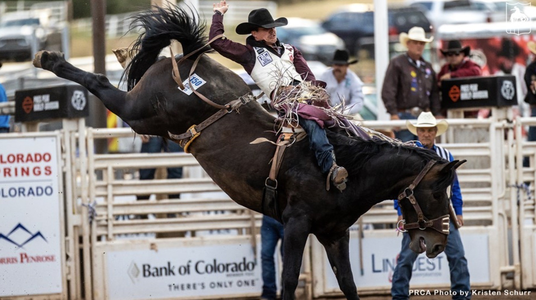 Six Montanans Qualify for 2024 Wrangler NFR