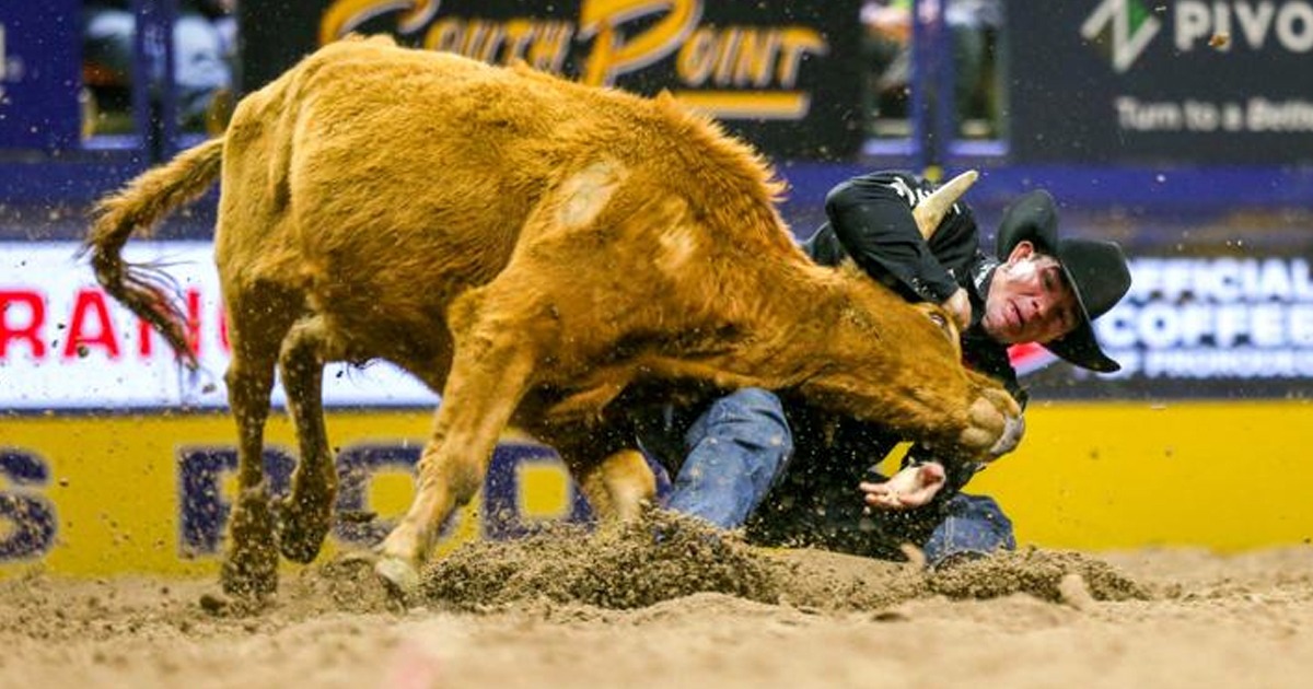 Hermiston’s Dalton Massey secures a blazing-fast 3.5-second run to win the first round of steer wrestling at the 2023 NFR